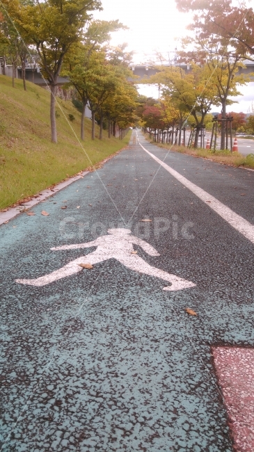 인도,직진,사람,전용길,안전,생각,사색,여유,힐링,낙엽,길,희망,출발,도전,시작