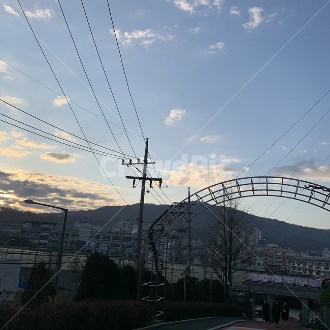 학교,전선,구름,하늘,나무