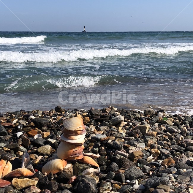 outdoors,파편,조개,모래사장,바닷가,sea,해수욕장,ocean,파도