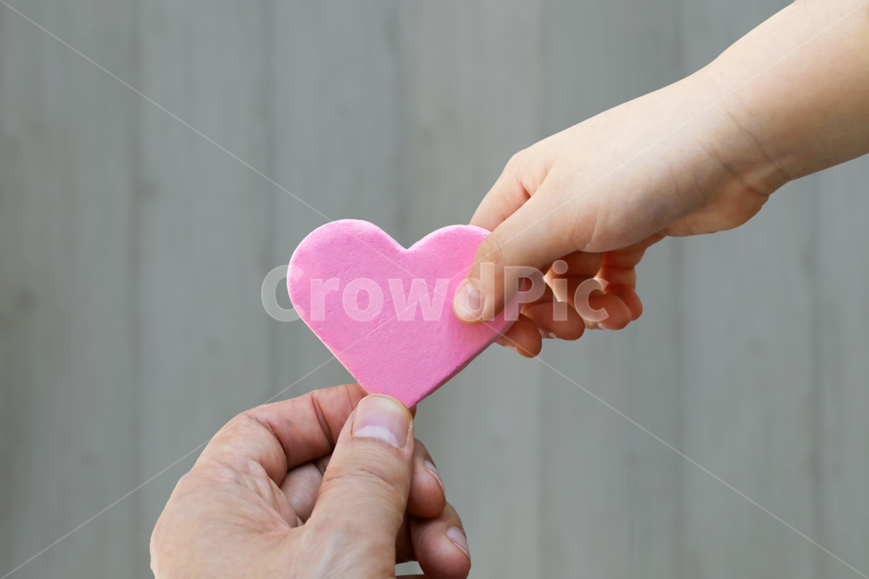 사랑,하트,딸,손,부녀,핑크,분홍,아빠,부정,아이,person,사람,human,인간,아름다움,love,돌봄,무조건,러블리,마음,heart,감정표현,기분,feeling,emotion