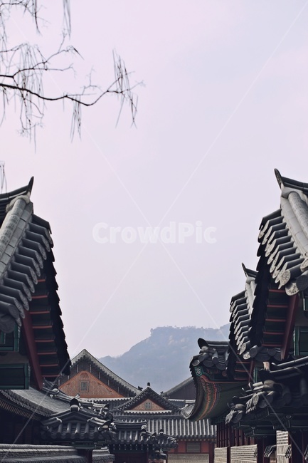 처마,기와,한옥,eaves,rooftile,koreanstylehouse,한국전통,한국문화,korean traditional,korean culture,건축물,건물외관,exterior,building,structure,architecture,construction
