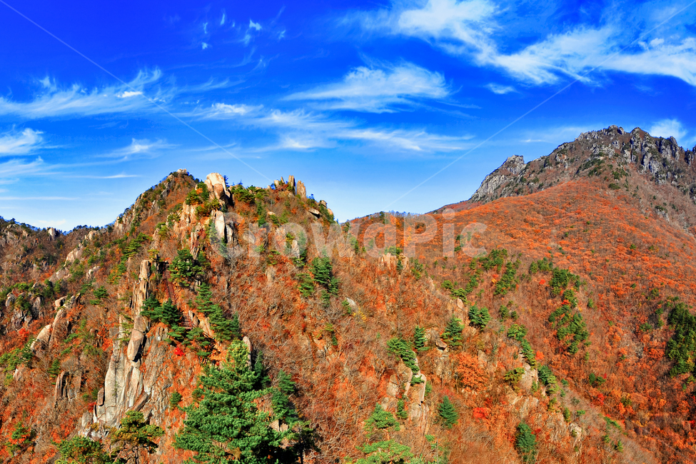 가야산,가을단풍,만물상,구름,파랑,가을,계절,fall,autumn,season,자연,풍경,nature,landscape,한국자연풍경,한국자연경관,korea nature landscape,mountain,산,outdoors,옥외