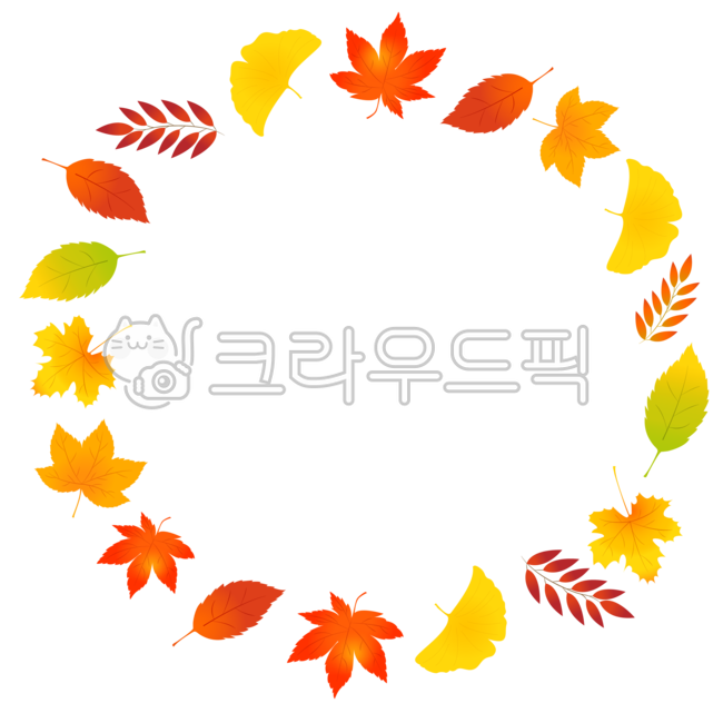 Ginkgo,maple png,maple leaf png,Thanksgiving,Maple leaf,ginkgo leaves,fallen leaves,Maple tree,autumn leaves,Maple,nature,Autumn leaves illustration,thanksgivingday,png,tree,sticker,leaf,Ipchu,play with autumn leaves,Dakku,Fallen leaves illustration,fall 