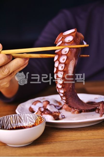 문어,숙회,바다생물,음식,먹거리,문어회,돌문어,자숙문어,문어숙회,연체동물,식재료,문어다리,접시,사람,손,초장,음식,식재료,요리,food,cook,meal,dishes,food reserves