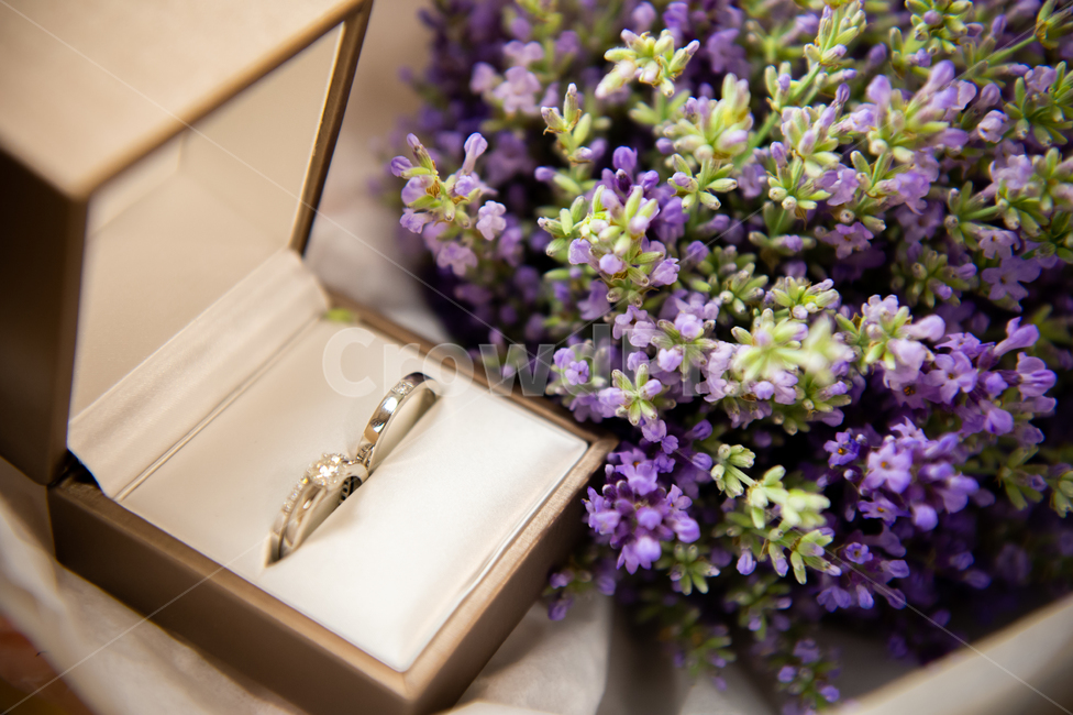 반지,커플,커플링,couple,ring,웨딩,wedding,꽃,flower,연인,커플,사랑,lover,couple