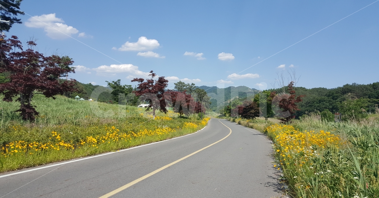 하늘,꽃,그름,산,길,자연,풍경,nature,landscape,road,도로,asphalt,아스팔트,highway,고속도로,freeway,고속 도로