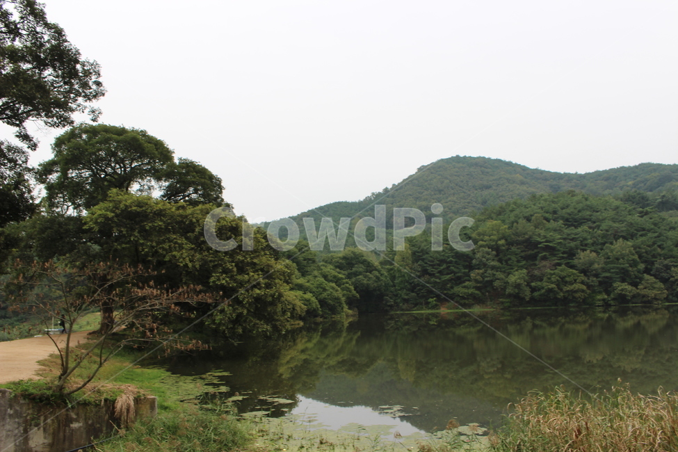 반곡지,자연,nature,water,물,outdoors,자연,풍경,nature,landscape