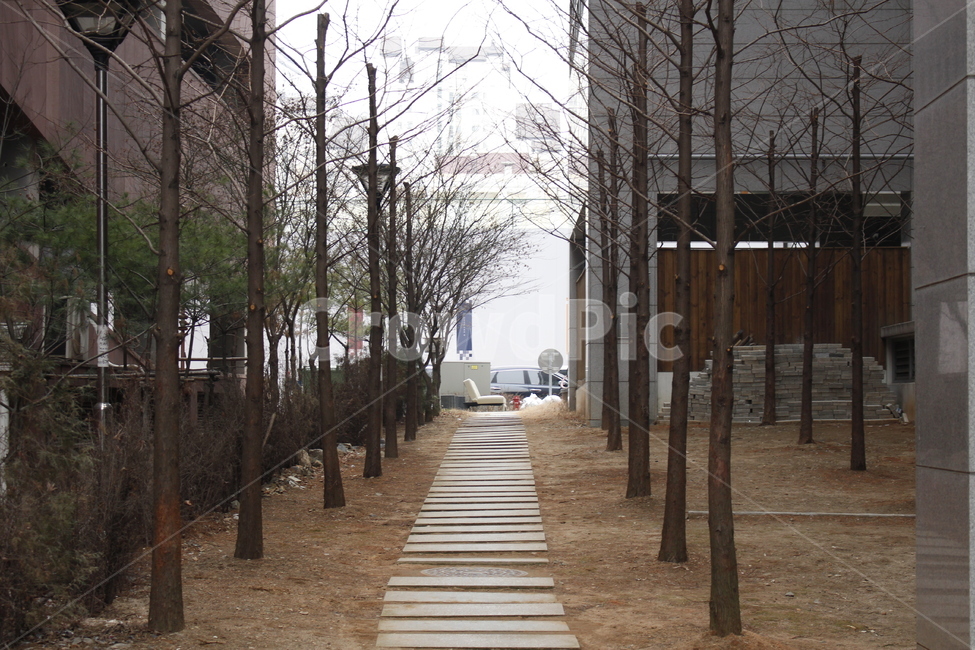 건물,길,보도,사잇길,오솔길,보도블록