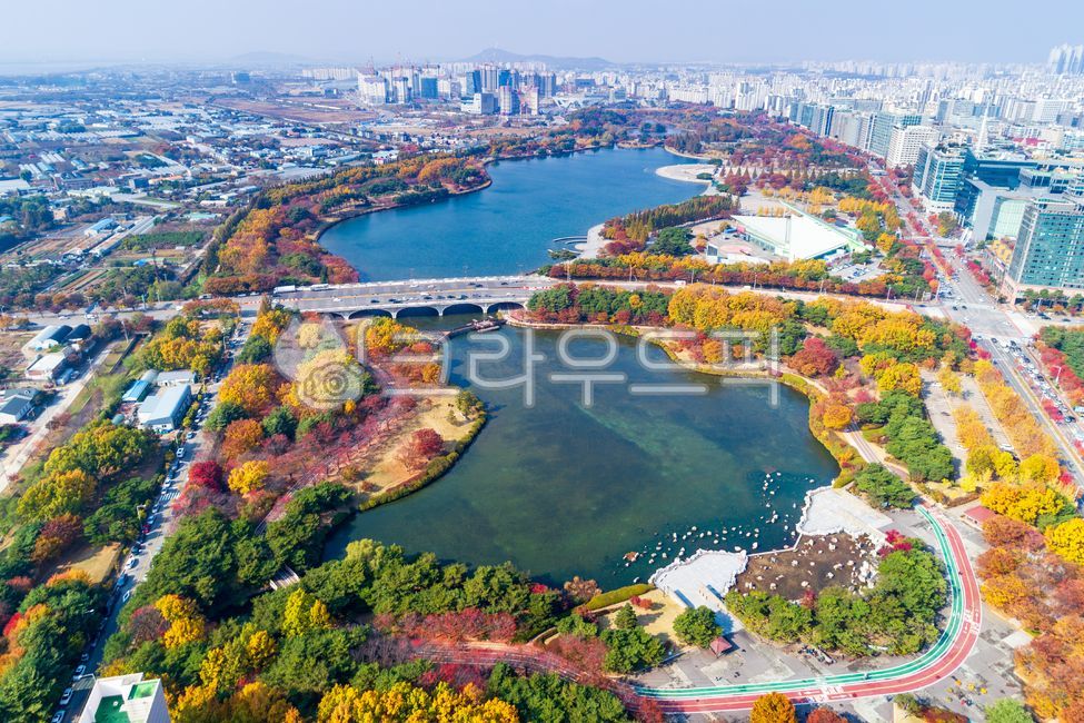 일산호수공원,호수공원,공원,정원,호수,물,도시,도시풍경,도심,가을,단풍,나무,야외,실외,고양시,고양,경기도,빌딩,건축물,항공촬영,하이앵글,다리,교량,도로,길,전경,풍경