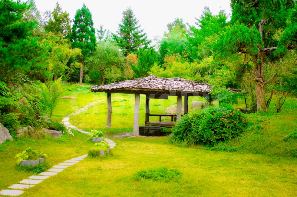 쉼터,정자,여유,여름,한가함,쉼,싱그러움,바탕화면,배경화면,자연,풍경,nature,landscape,한국자연풍경,한국자연경관,korea nature landscape,휴식,힐링,rest,relaxation,healing,outdoors,옥외,plant,식물,grass,잔디,patio,안마당
