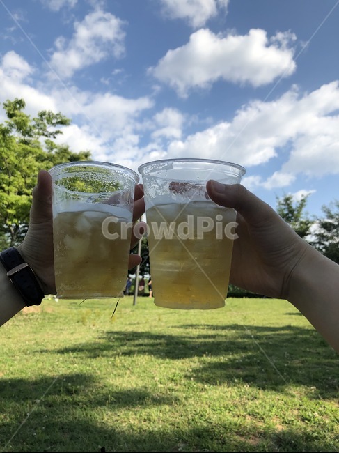 피크닉,공원,커플,맥주,맑은하늘,술,주류,alcohol