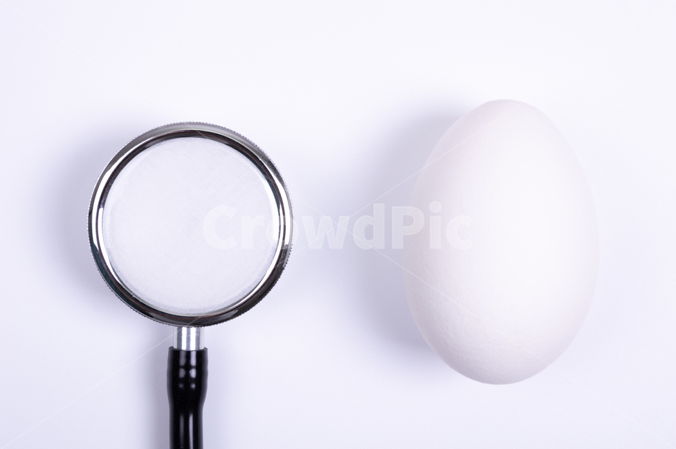 달걀,계란,음식,실내,정물,흰색,egg,음식,식재료,요리,food,cook,meal,dishes,food reserves,연출,컨셉,콘셉,direction,concept,누끼,remove background