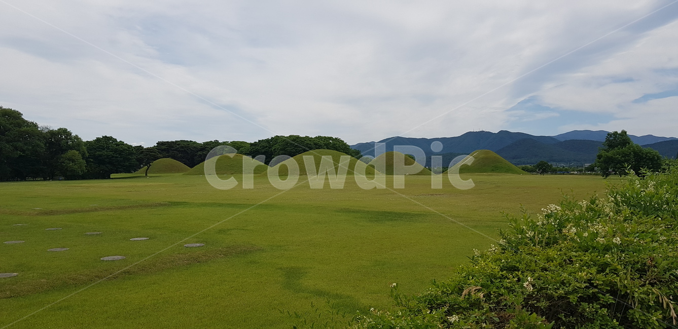 경주,인왕동고분군,들판,왕릉,무덤,능,숲,산,넓다,잔디,royaltombs,grass,field,green,sky,forest,landscape,view,wide