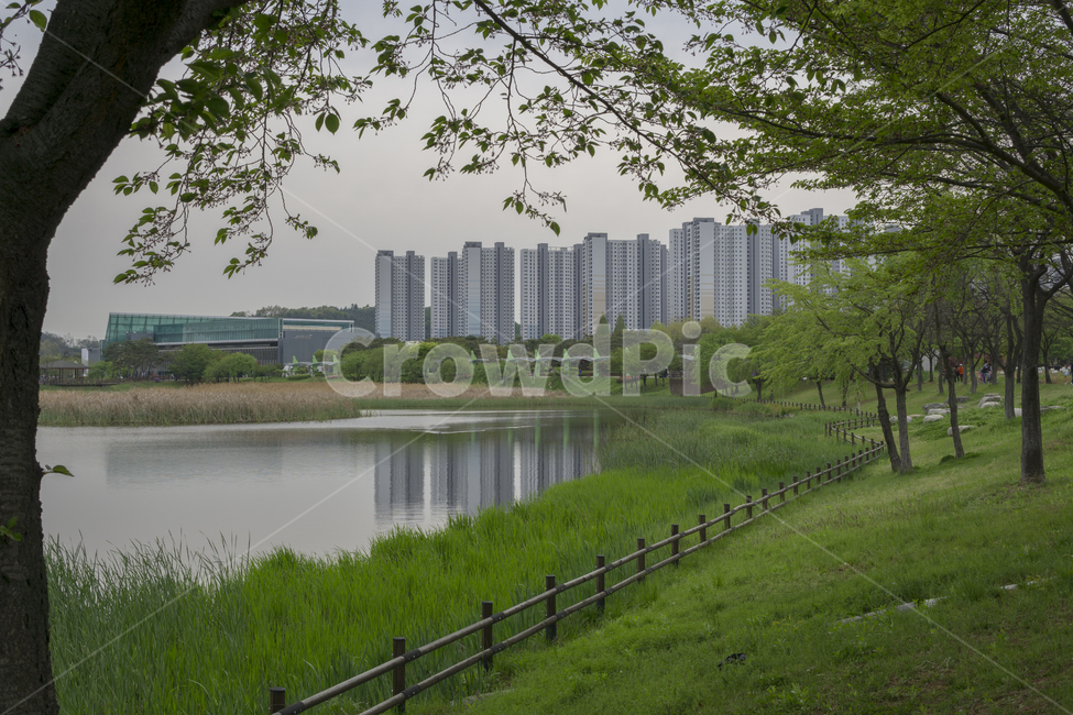 water,물,outdoors,옥외,나무,호수,아파트,산책