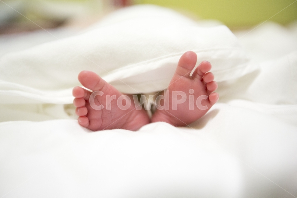 발,아기,출산,신생아,baby,infant,childbirth,birth,delivery,newbornbaby,love,family,happy,start,산부인과,obstetrics,obgyn,사랑,행복,축복,자녀,아들,딸,육아,유아,care,infantcare,보살핌,돌봄,부부,wedding,결혼,가족,사람,인물,인간,human,person,신체일부,몸,body,영유아,아기,애기,아이,infants,baby