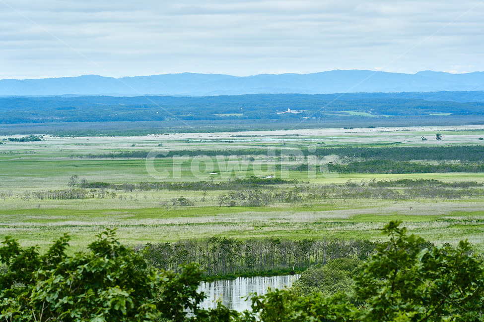 습지,개방감,자연,풍경,일본,시골,쿠시로,자연,풍경,nature,landscape,scenery,outdoors,옥외,land,땅