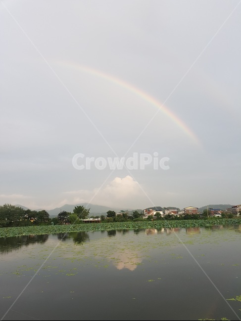 무지개,rainbow,여름,summer,흐림