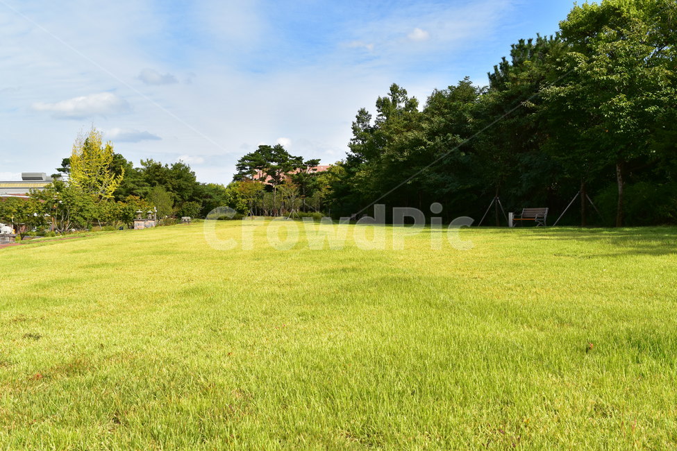 풀,자연,벤치,봄,하늘,들판,자연,풍경,nature,landscape,grass,잔디,plant,식물,lawn