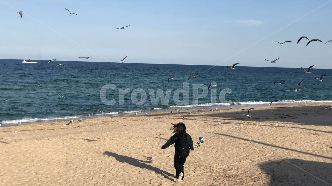 바다,여자,뒷모습,갈매기,강릉,여행,배낭여행,휴가,하늘,파랑,파란색,겨울바다,그림자,사람,인물,국내여행,beach,ocean,blue,woman,person,female,trip
