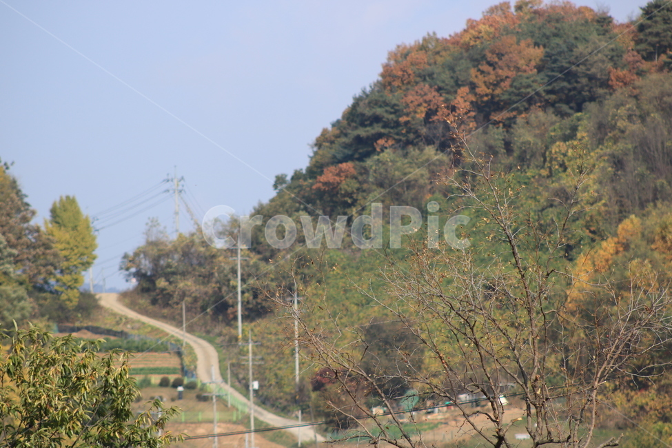 풍경,가을,길,식물,나무,단풍,가을,계절,fall,autumn,season,자연,풍경,nature,landscape