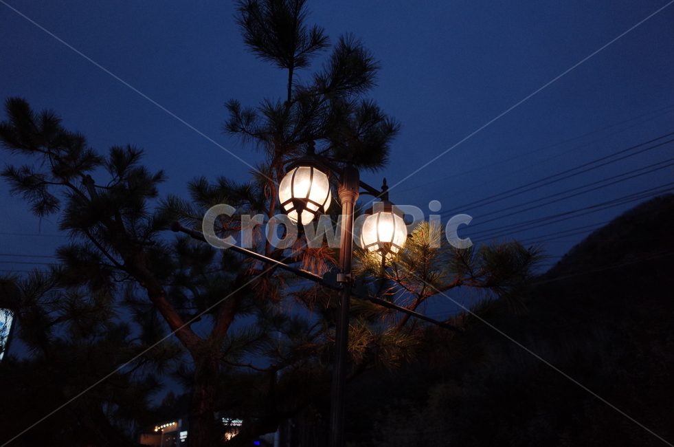 가로등,조명,밤,빛,감성사진,야경,밤,풍경,nightscape,night,landscape