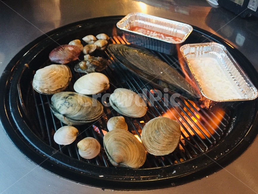 음식,조개,조개구이,치즈,불판,음식,식재료,요리,food,cook,meal,dishes,food reserves,수산물,해산물,fishery products,seafood
