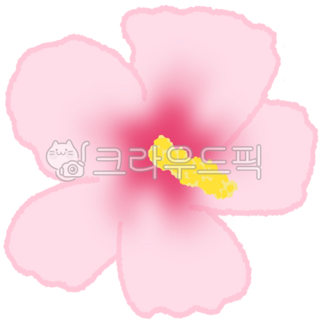 꽃,국화,무궁화,대한민국,상징,애국,나라,한국,꽃잎