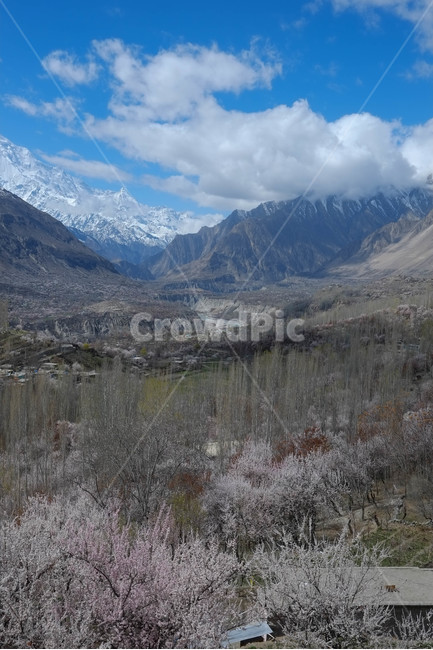 파키스탄,히말라야,훈자,자연,풍경,설산,hunza,계곡,협곡,산,파키스탄훈자,훈자마을,봄,꽃,절벽,자연,풍경,nature,landscape,해외,외국,세계,foreign,oversea,world,세계자연풍경,해외자연풍경,외국자연풍경,world nature landscape,mountain range,산맥,outdoors,옥외,mountain