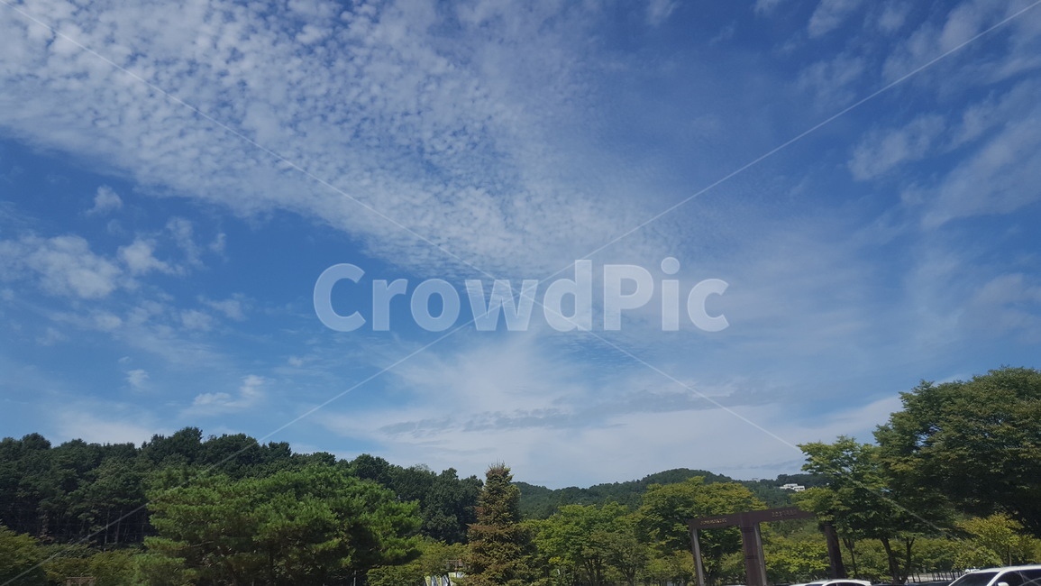 구름,구름폭포,하늫,뭉게구름,파란하늘,자연,풍경,nature,landscape,outdoors,옥외