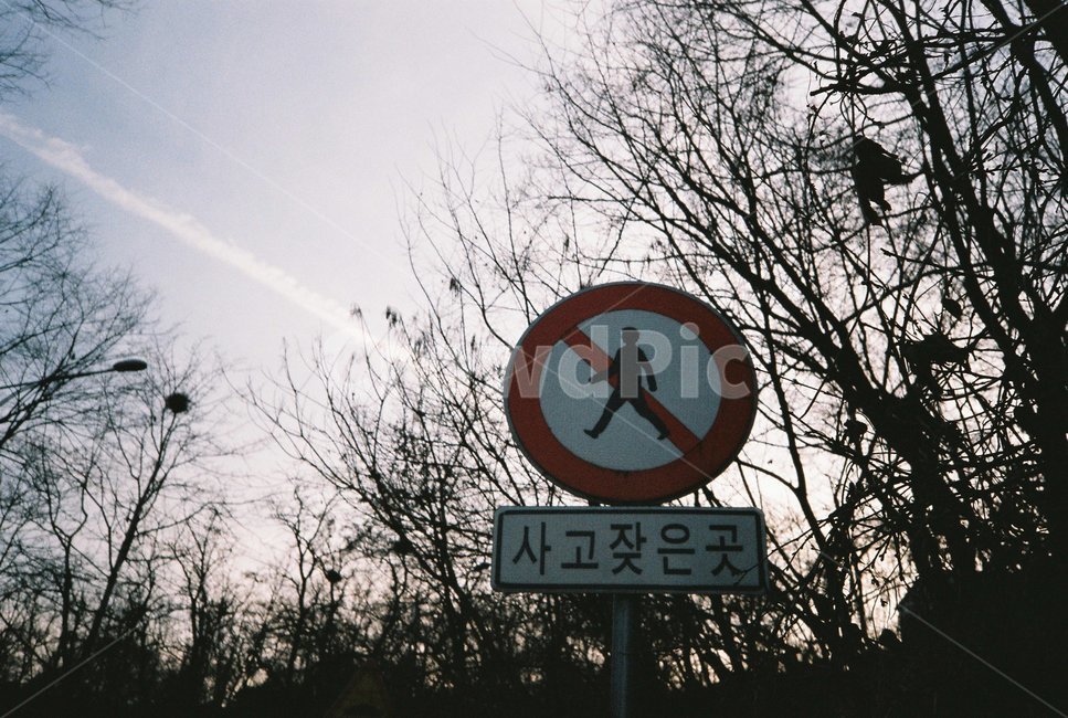 교통,표지판,사고잦은곳,사고,교통표지판,주의,안내,팻말