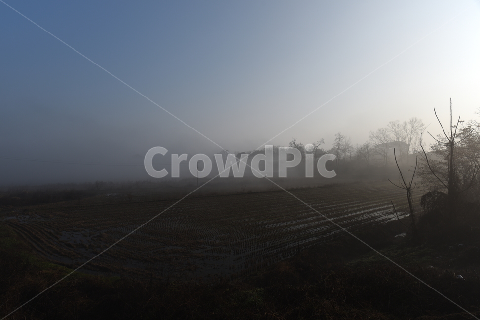 nature,자연,weather,날씨,fog,안개,풍경,가을,계절,자연,풍경,nature,landscape