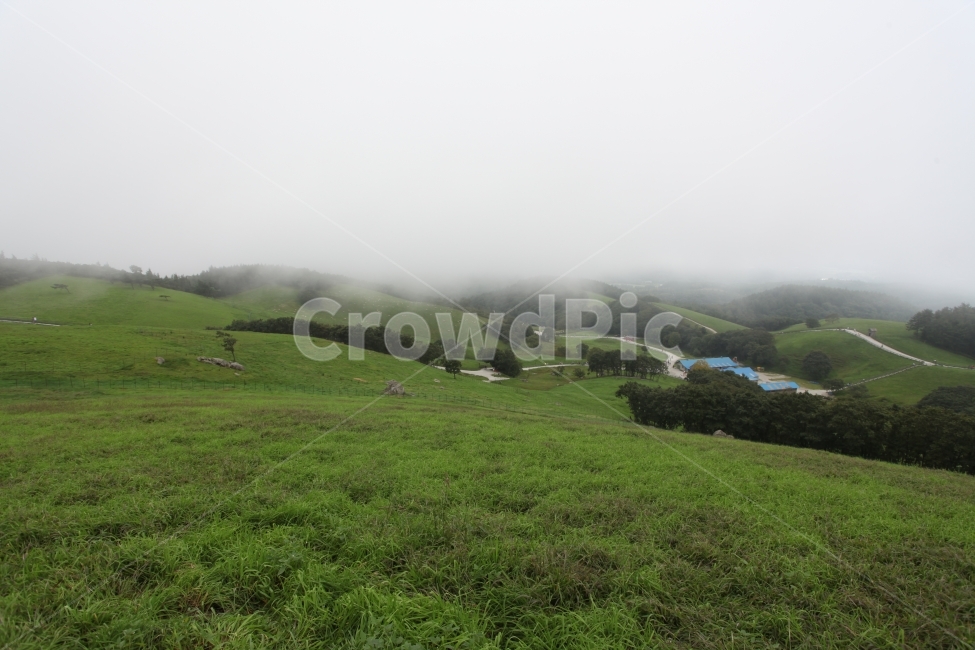 안개,fog,목장,풍경,landscape,pasture,양떼목장,대관령,하늘,sky,풀밭,forest,mountain,자연,풍경,nature,landscape,한국자연풍경,한국자연경관,korea nature landscape,field,들,outdoors,옥외,grassland,목초지