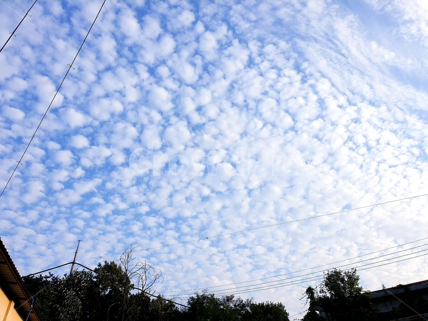 outdoors,옥외,nature,자연,구름,하늘,새털구름,자연,풍경,nature,landscape