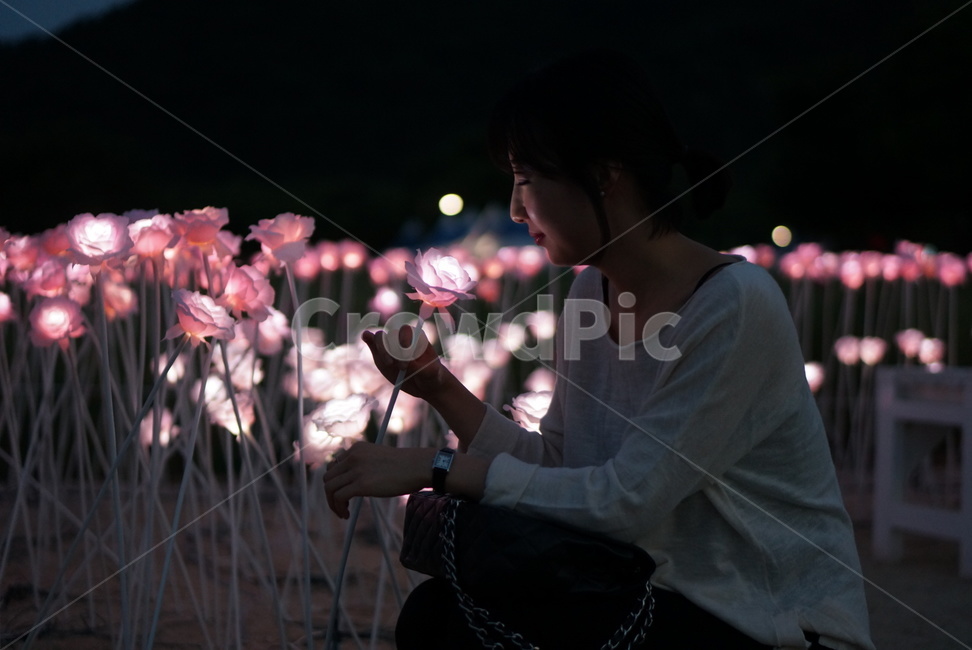 조명,간절함,기도,은은함,장미,human,사람,여자