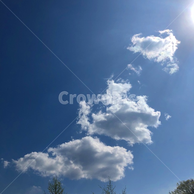 하늘,sky,햇살,구름,shining,자연,풍경,nature,landscape,outdoors,옥외