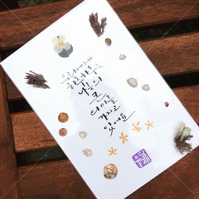 사랑,사랑글귀,장미,캘리그라피,사랑고백