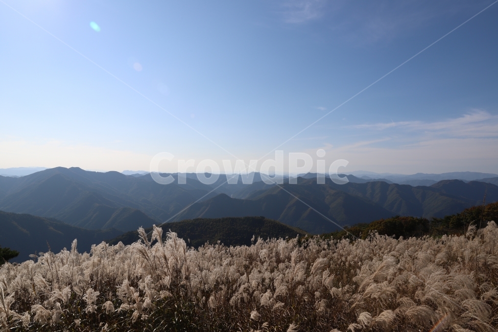 산,민둥산,억새,풍경,가을,감성,가을,계절,fall,autumn,season,자연,풍경,nature,landscape,한국자연풍경,한국자연경관,korea nature landscape,grass,잔디,plant,식물,mountain range,산맥,mountain,outdoors,옥외