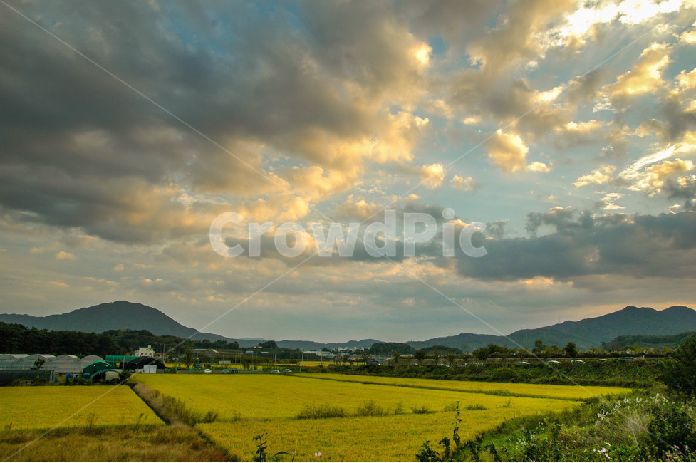자연,풍경,노을,가을,일몰,자연,풍경,nature,landscape,한국자연풍경,한국자연경관,korea nature landscape,outdoors,옥외,grassland,목초지,field,들