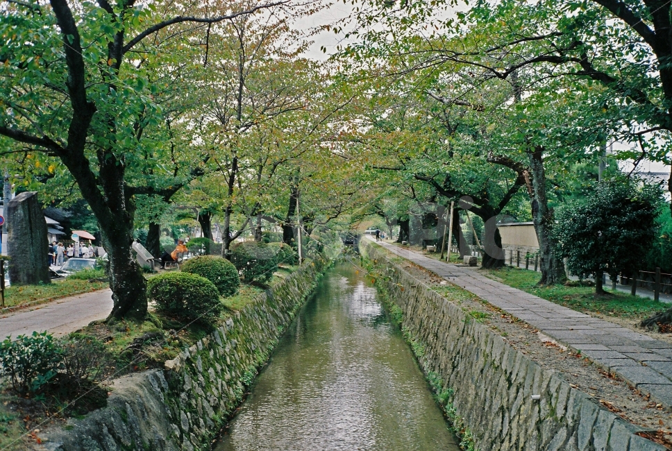 일본,교토,풍경,강,철학자의길,감성,필카,필름카메라,나무,가을,자연,풍경,nature,landscape,해외,외국,세계,foreign,oversea,world,세계자연풍경,해외자연풍경,외국자연풍경,world nature landscape,감성,sensible,feeling,ditch,도랑