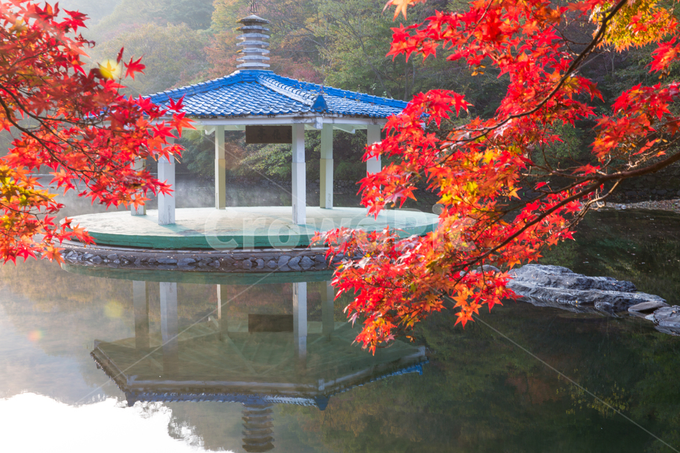자연,풍경,경관,계절,가을,단풍,단풍길,낙엽,추경,만추,울긋불긋,단풍나무,나무,공원,절,사찰,내장사,내장산,산,국립공원,정자,팔각정,물,호수,연못,도솔천,반영,우화정,청기화,안개,아침,leaf,잎,식물,plant,전망대,gazebo,징검다리,돌다리,가을,계절,fall,autumn,season