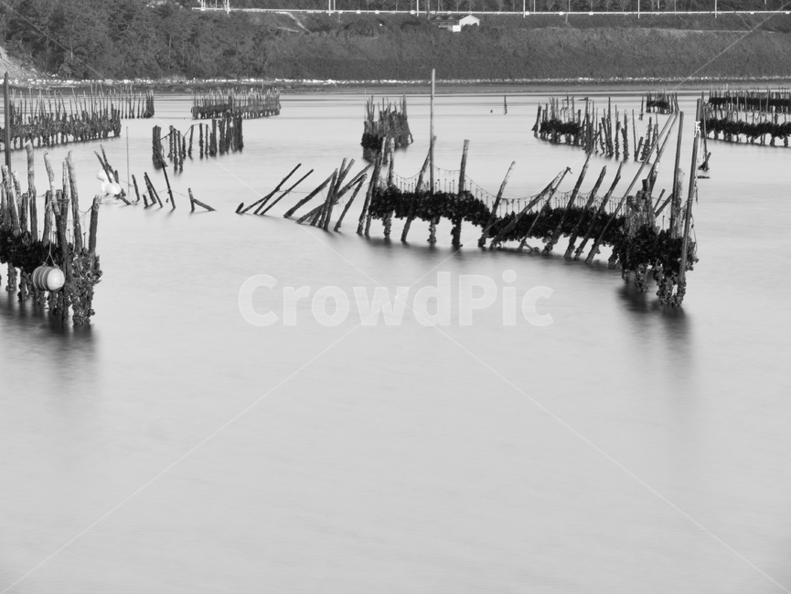 굴전,여수,yeosu,바다,양식장,장노출,longexposure