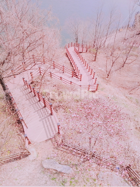자연,풍경,꽃,감성,자연풍경,봄,계절,spring,season,자연,풍경,nature,landscape