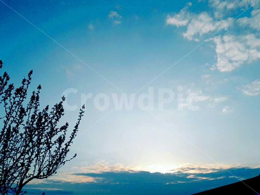 꽃,파란하늘,배경,구름,하늘,자연,풍경,nature,landscape,outdoors,옥외