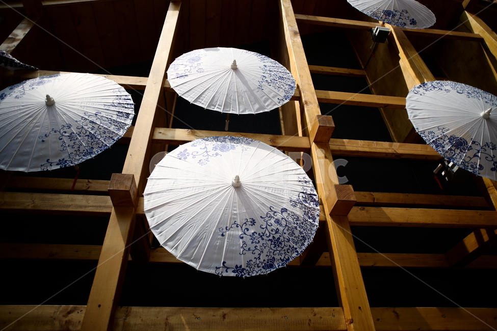 우산,일본,봄,비,인테리어,인테리어,실내디자인,interior design
