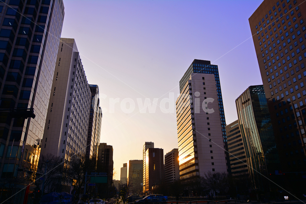 비즈니스,랜드마크,빌딩,건축물,사무실,대기업,회사,금융가,증권가,오피스가,시내,중심가,서울,햇빛,노을,석양,해질무렵,building,퇴근시간,저녁시간,일몰,도시풍경,저녁풍경,시내풍경,sunset,street,seoul,landscape,scenery,scene,view,metropolis,city,town,대도시,evening,현대도시,skyscrapers,배경,바탕,백그라운드,background,초고층빌딩,townscape,cityscape,풍경,부동산,건물,건물외관,유리창,glass,기업,고층빌딩,도시,풍경,city,landscape,한국도시풍경,한국도시경관,korea cityscape,office building,사무실 건물