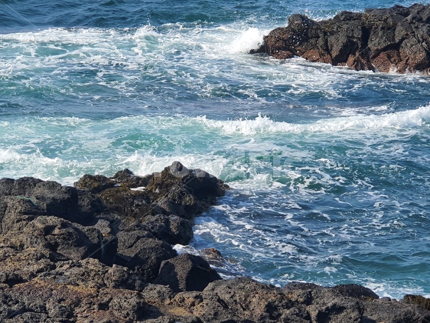 바다,제주,자연,거친,파도,거친바다,제주도,풍경,바위,거센,nature,wave,sea,ocean,water,물,곶,옥외,outdoors,promontory