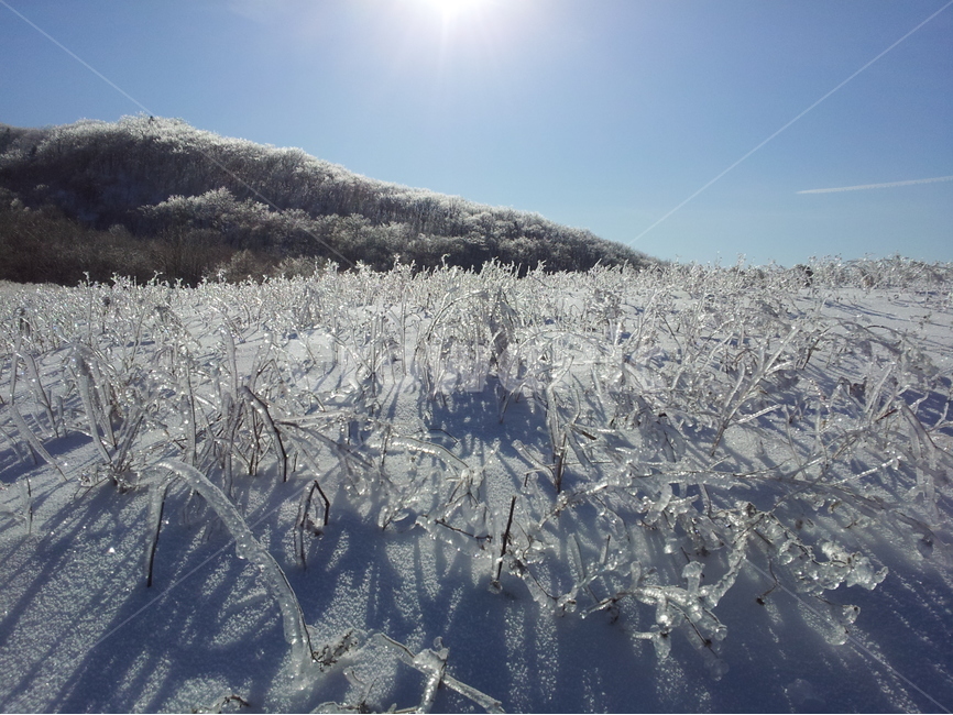 오대산,상고대,설경,눈,겨울,국립공원,겨울,계절,winter,season,자연,풍경,nature,landscape,outdoors,옥외,snow,frost,서리