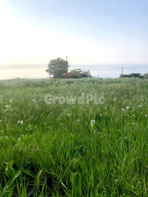 언덕,산,자연,바다,하늘,초록,파랑,구름,길,울릉도,시골