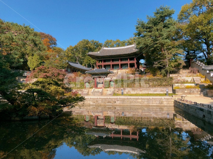 changdeokgungpalace,창덕궁,창덕궁후원,한국관광지,유명관광지,한국궁궐,풍경,경치,낙엽,architecture,building,한국전통,한국문화,korean traditional,korean culture,건축물,건물외관,exterior,building,structure,architecture,construction
