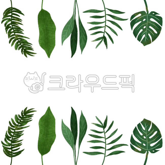 잎, leaf, 식물, plant, 나뭇잎일러스트, 사진,이미지,일러스트,캘리그라피 - Njiyom작가